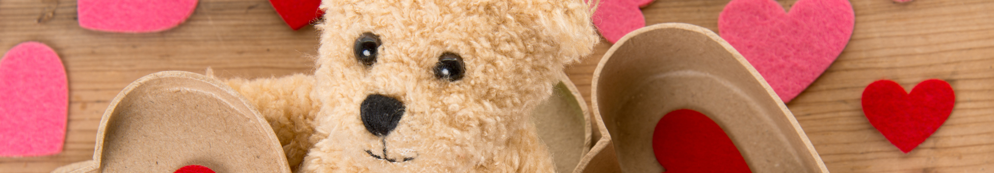 Banner image