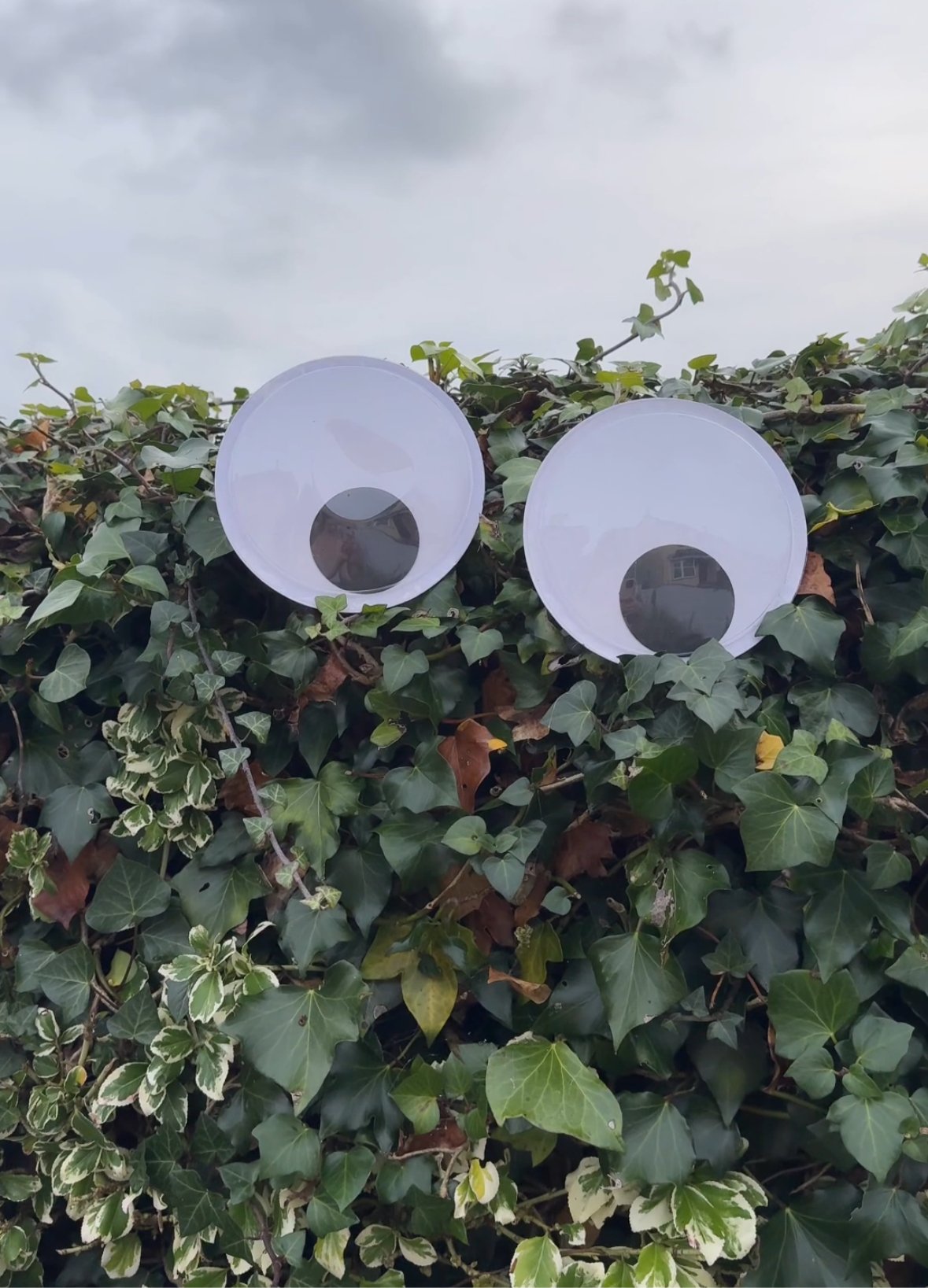 Halloween Self Adhesive Giant Googly Eyes - EuroGiant