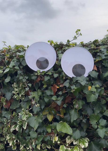 Halloween Self Adhesive Giant Googly Eyes - EuroGiant