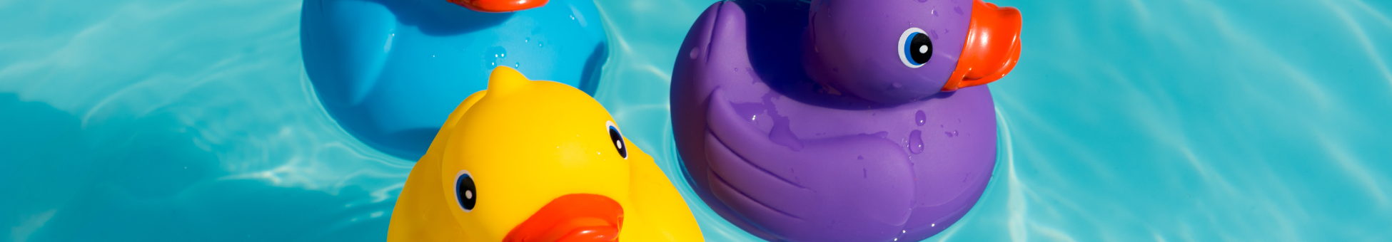 Banner image