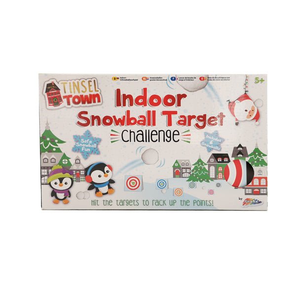 Indoor Snowball Target Challenge - EuroGiant