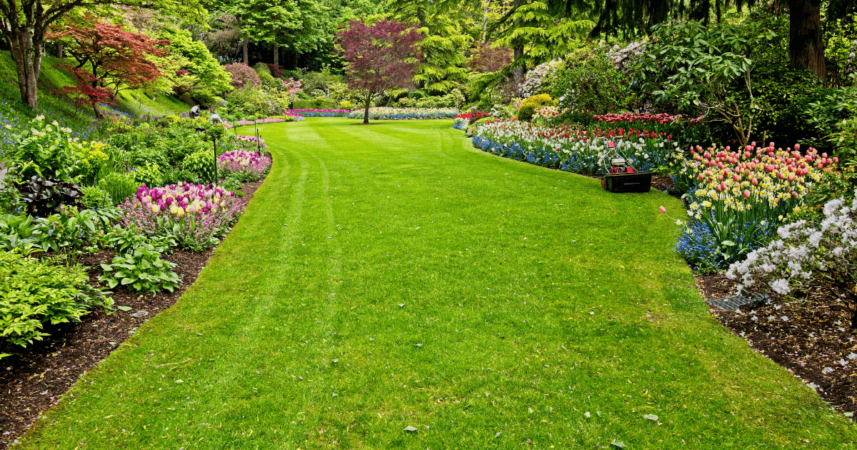 Garden Planning and Layout Tips - EuroGiant