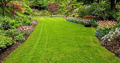 Garden Planning and Layout Tips - EuroGiant