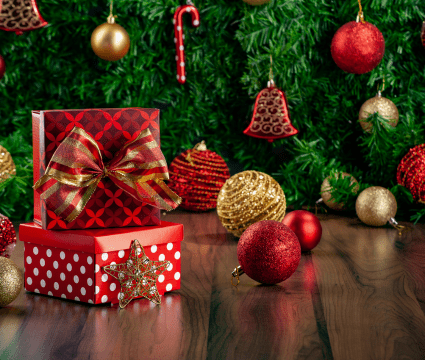 Christmas Accessories - EuroGiant