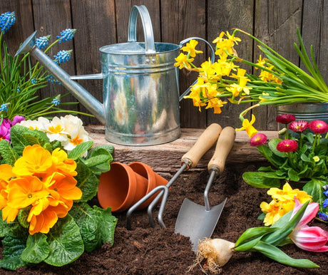 Garden Decorations - EuroGiant