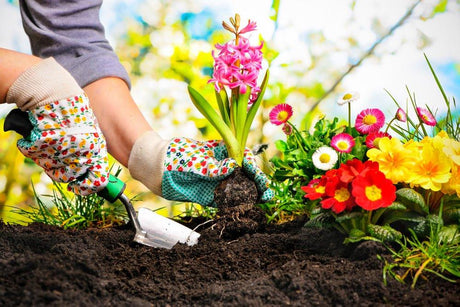 Gardening - EuroGiant