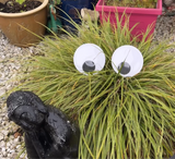 Halloween Self Adhesive Giant Googly Eyes