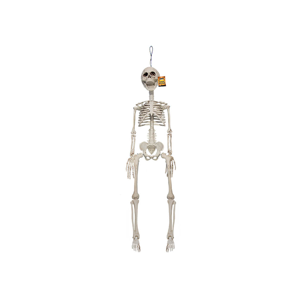 Halloween Hanging Skeleton Decoration