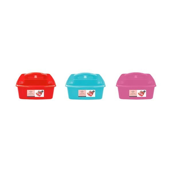 Storesmart Kids Coloured Storage Caddy