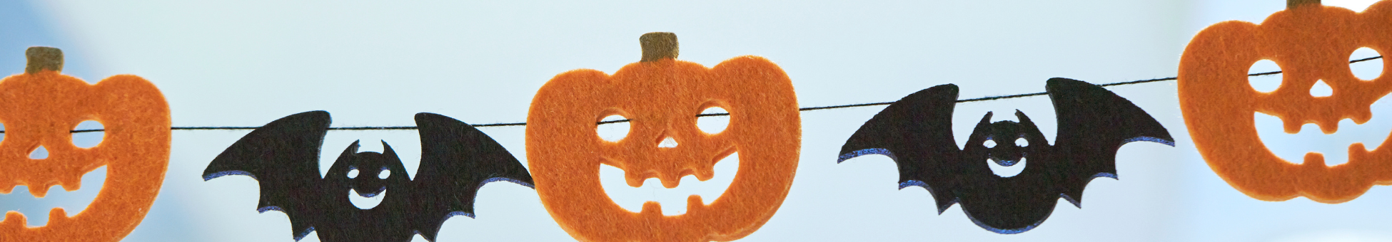 Banner image