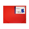 A4 Box File - EuroGiant