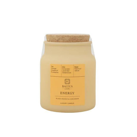 Baltus Luxury Candle Energy 152g - EuroGiant