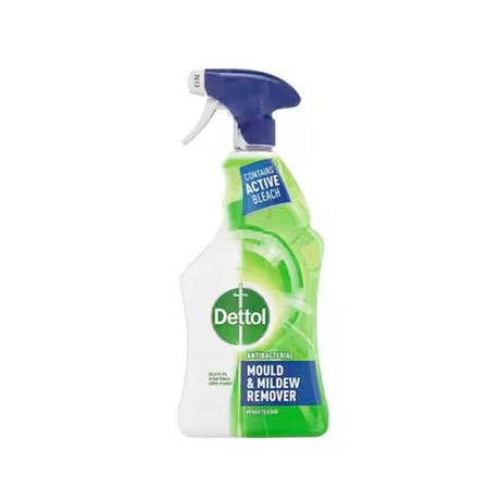 Dettol Mould & Mildrew Remover 750ml - EuroGiant