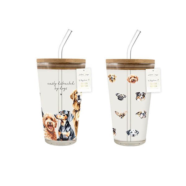 Gifting Glass Sipper With Straw 400ml - EuroGiant