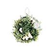 Holly & Ivy Frosted Topiary Ball - EuroGiant