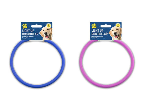 Kingdom Light Up Dog Collar 3 Modes - EuroGiant