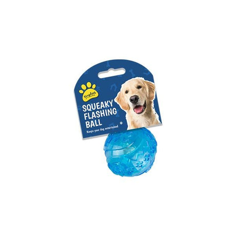 KINGDOM SQUEAKY FLASHING BALL - EuroGiant