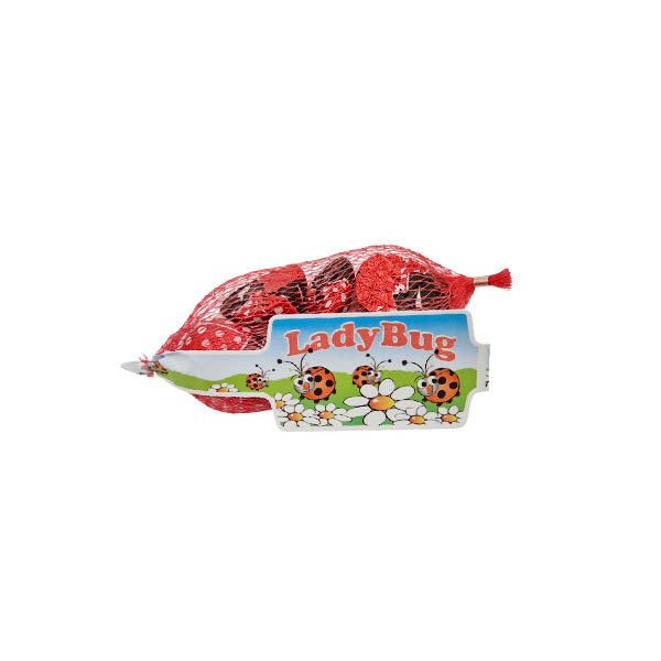 Milk Chocolate Ladybug Nets 50g - EuroGiant