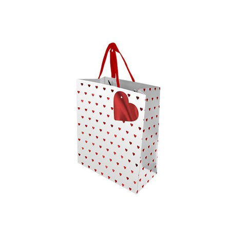 Valentines Day Gift Bag Large - EuroGiant