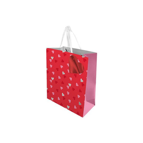 Valentines Day Gift Bag Large - EuroGiant