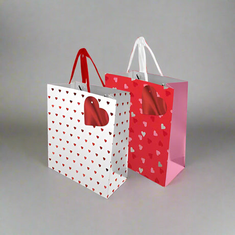 Valentines Day Gift Bag Large - EuroGiant