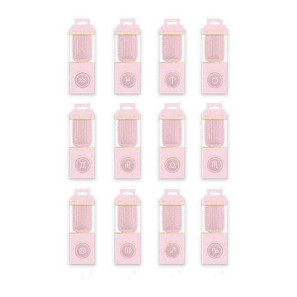 Zodiac Hairbrush Gift Set - EuroGiant