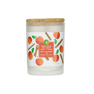 Air Wick Candle Apple Orchard 185g - EuroGiant