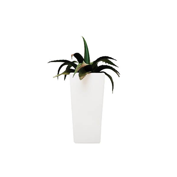 Artificial Plants In Pot - EuroGiant