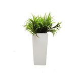 Artificial Plants In Pot - EuroGiant