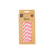 Biodegradable Paper Straws 50 Pack - EuroGiant