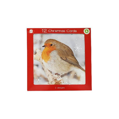 Christmas Cards Square Graphic Robin - EuroGiant