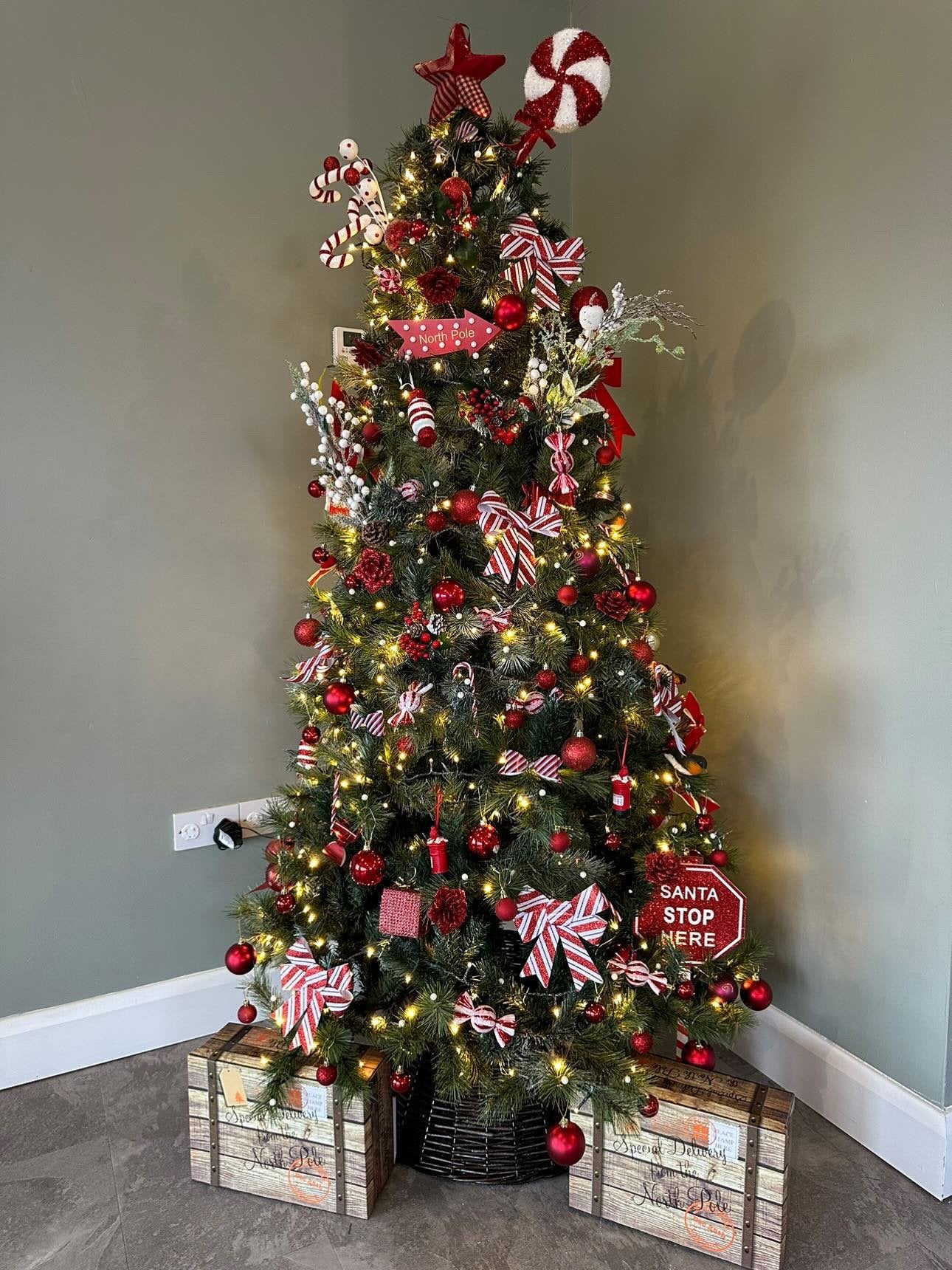 Christmas tree specials discount