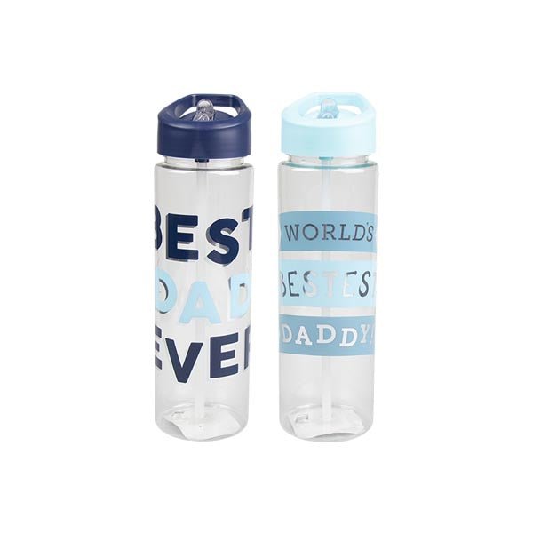 Fathers Day Foiled Water Bottle - EuroGiant
