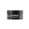 Got2b Phenomenal Molding Paste 100ml - EuroGiant