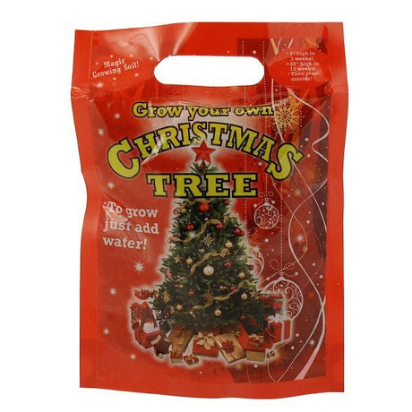 Grow Your Own Christmas Tree - EuroGiant