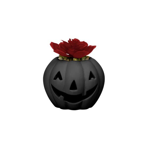 Led Light Up Pumpkin With Succulent 10cm - EuroGiant