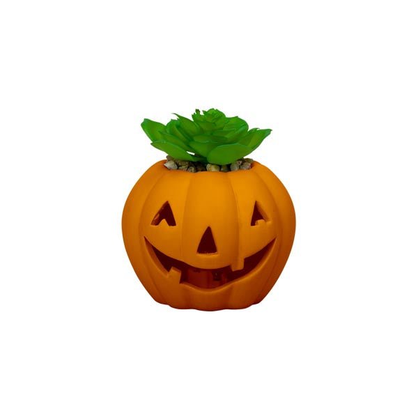 Led Light Up Pumpkin With Succulent 10cm - EuroGiant