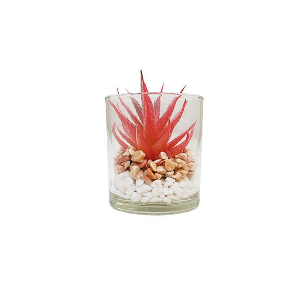 Plant In Glass Pot 10cm - EuroGiant