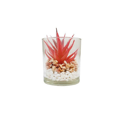Plant In Glass Pot 10cm - EuroGiant