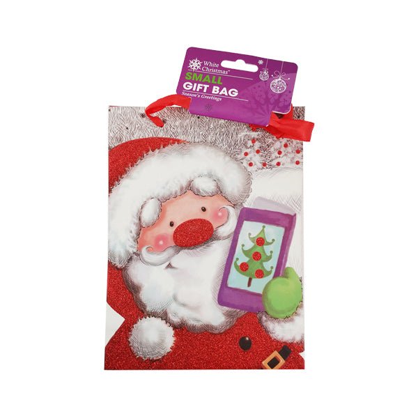 Santa Gift Bag Small - EuroGiant