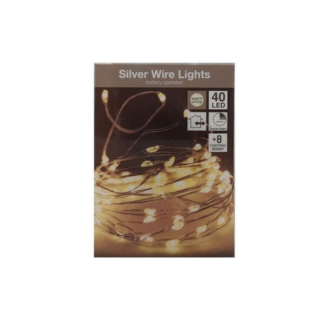 Silver Wire Lights 40 Led B/o - EuroGiant